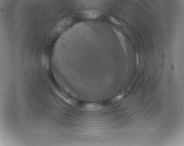 X0000079290568200612151705