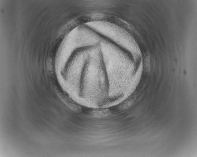 X0000079290571200612151705