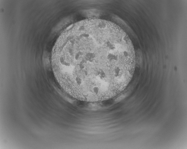 X0000079290573200612151705