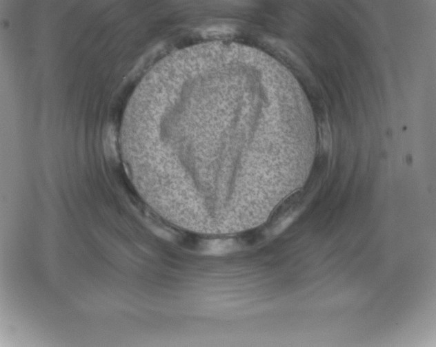 X0000079290575200612151705