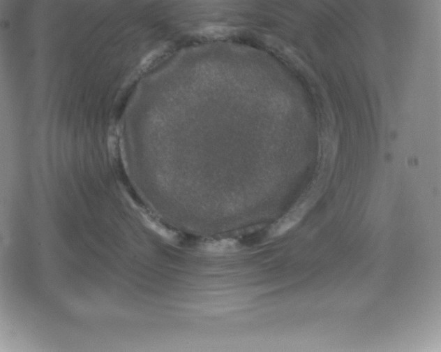 X0000079290576200612151705