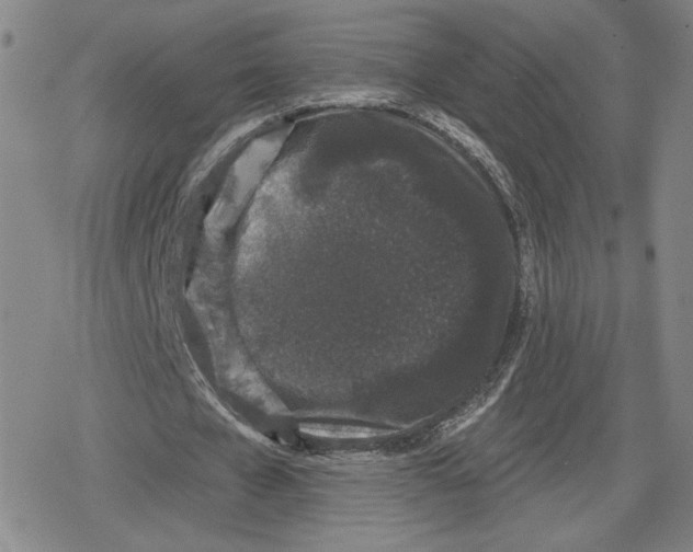 X0000079290577200612151704