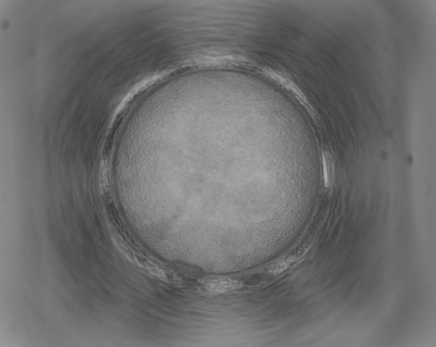 X0000079290579200612151704