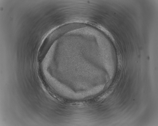 X0000079290580200612151704