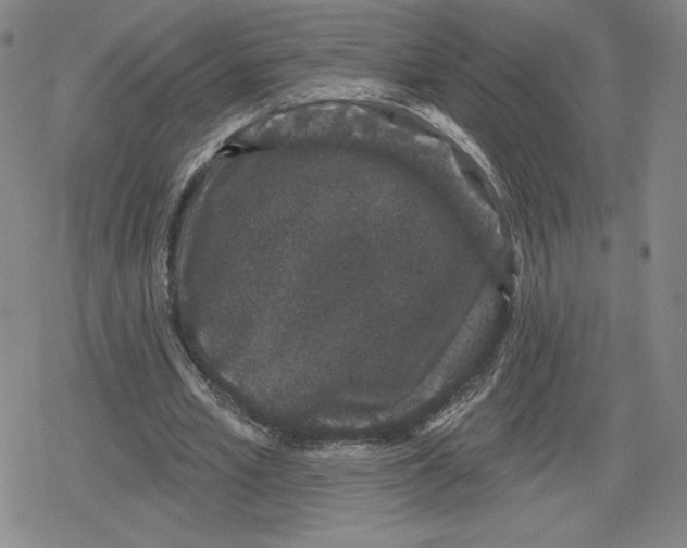 X0000079290581200612151704