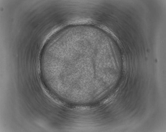 X0000079290582200612151704