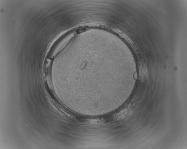 X0000079290584200612151704