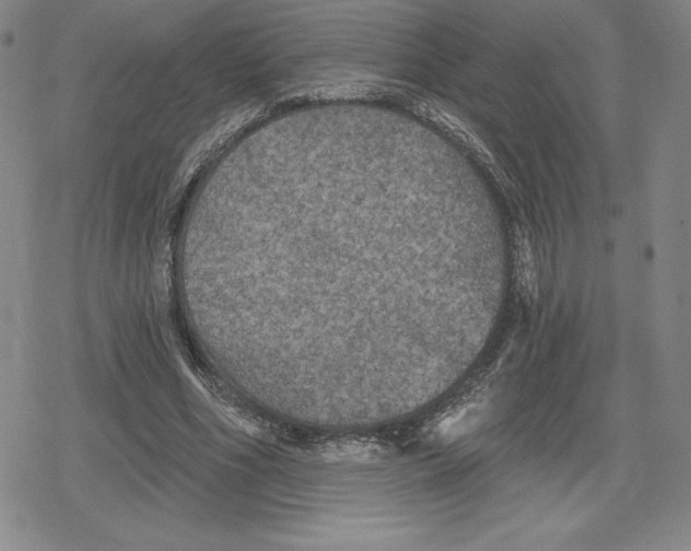 X0000079290586200612151704