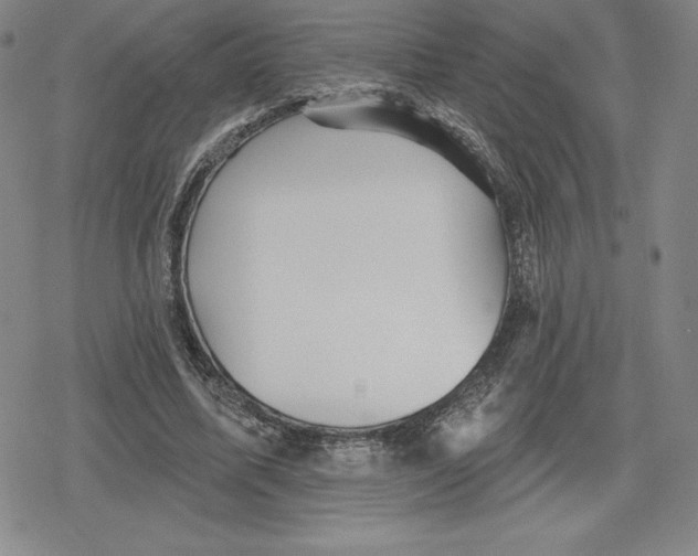 X0000079290587200612151704