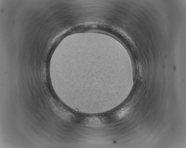 X0000079290588200612151704