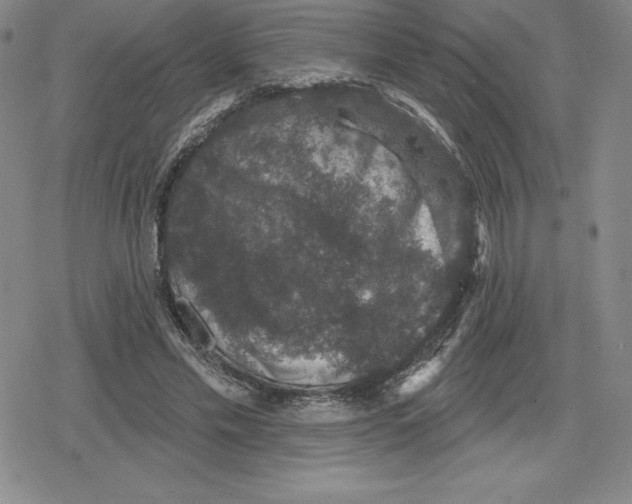 X0000079290589200612151704