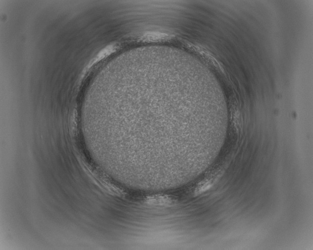 X0000079290591200612151704