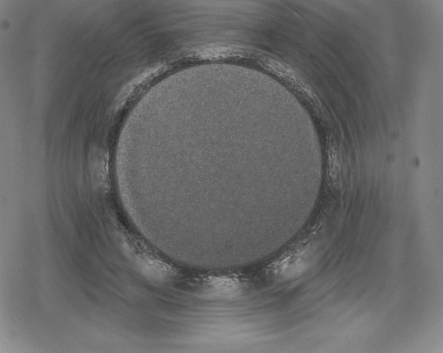 X0000079290592200612151704