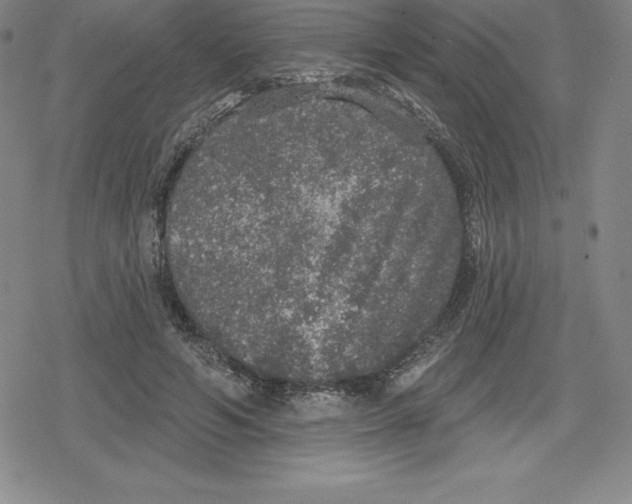 X0000079290594200612151704