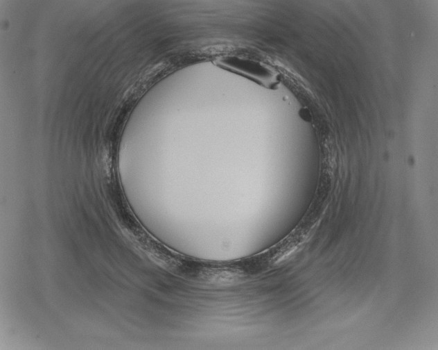 X0000079290597200612151704