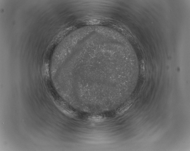 X0000079290598200612151704