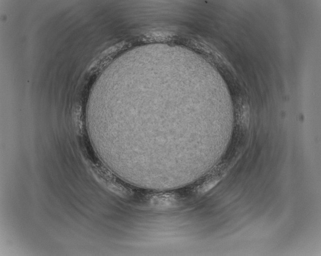 X0000079290599200612151704