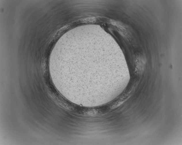 X0000079290600200612151704