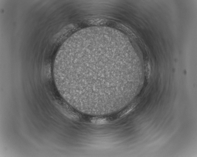 X0000079290602200612151704