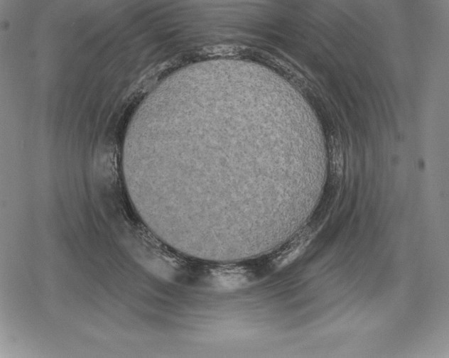 X0000079290603200612151704