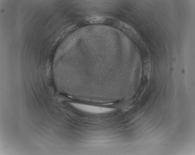 X0000079290604200612151704