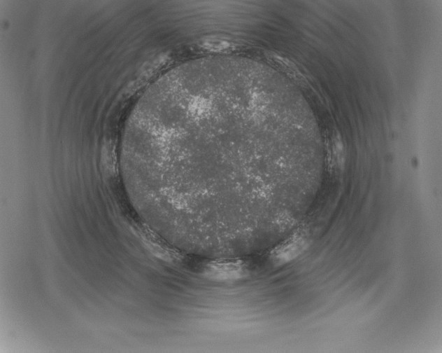 X0000079290606200612151704