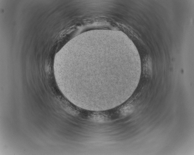 X0000079290608200612151704