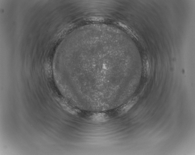 X0000079290609200612151704