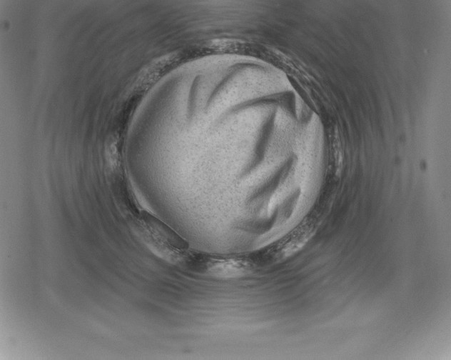 X0000079290611200612151704