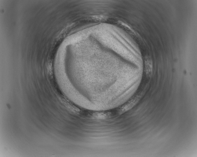 X0000079290613200612151704