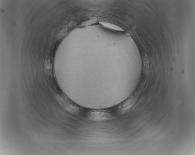 X0000079290614200612151704