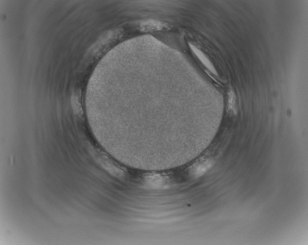 X0000079290616200612151704