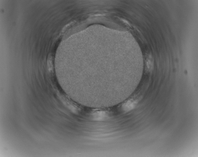 X0000079290620200612151703