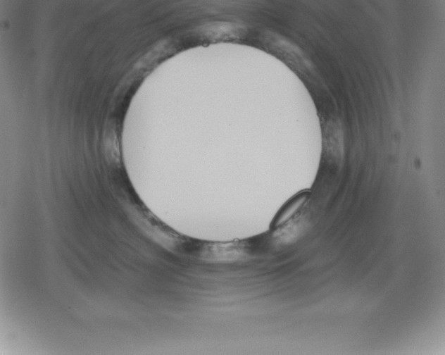 X0000079290622200612151703