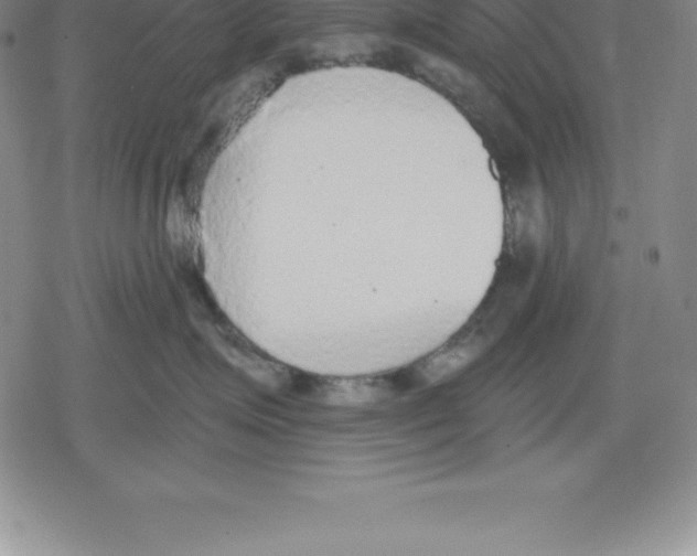 X0000079290623200612151703