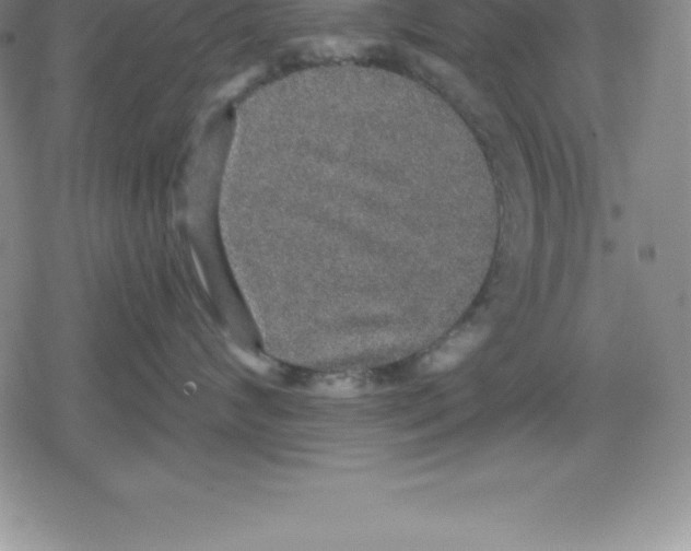 X0000079290624200612151703