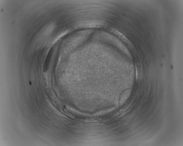 X0000079290627200612151703