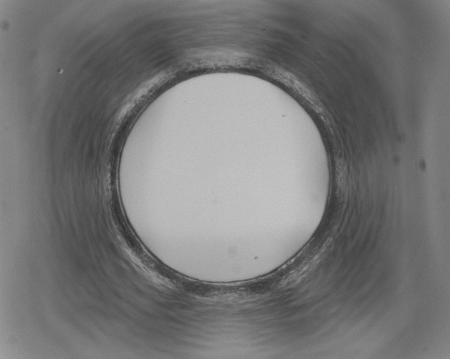 X0000079290629200612151703