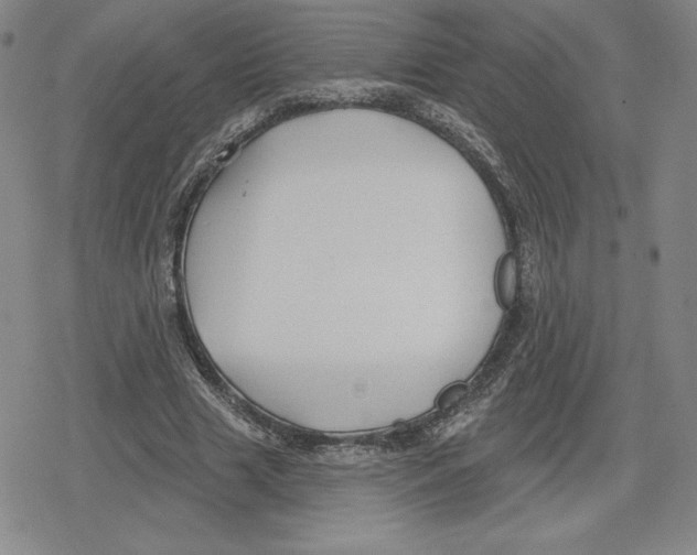 X0000079290633200612151703