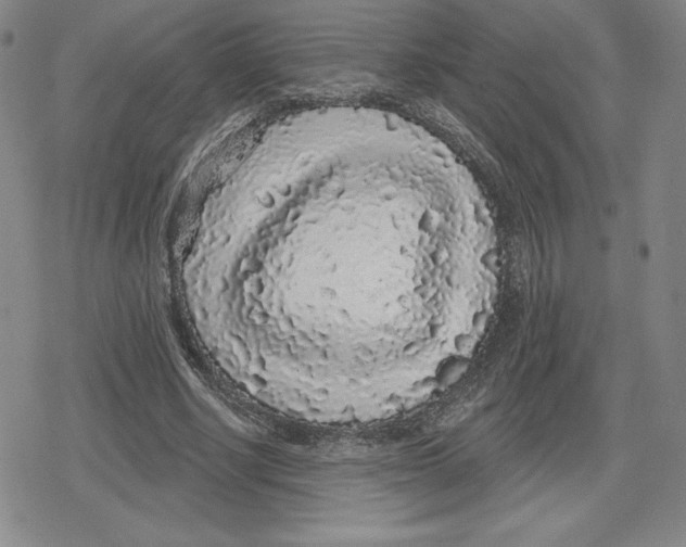 X0000079290634200612151703