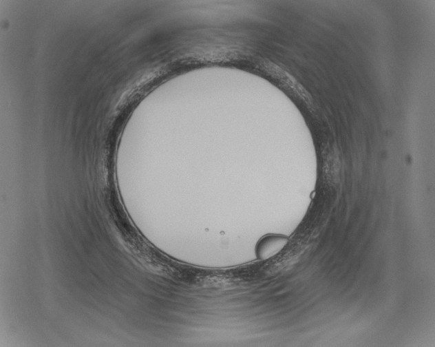 X0000079290635200612151703