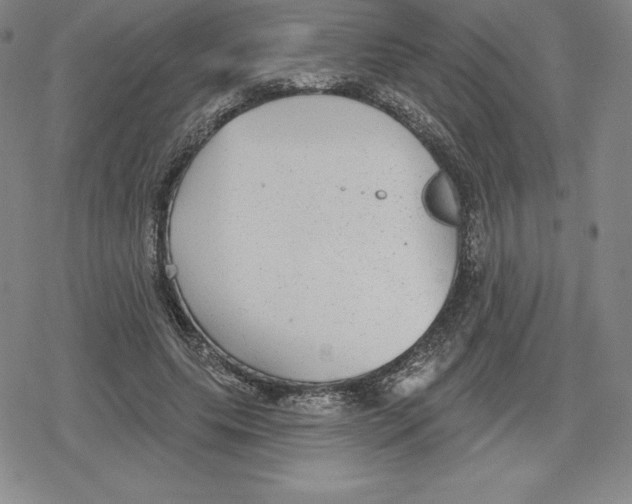 X0000079290639200612151703