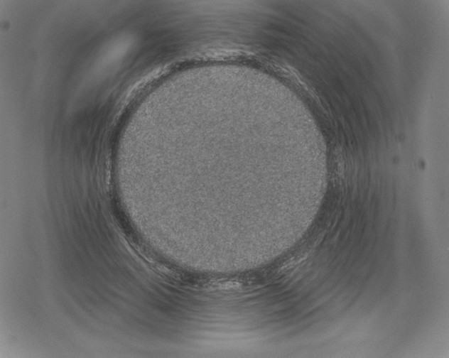 X0000079290640200612151703