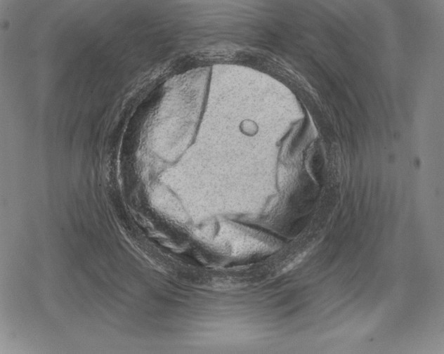 X0000079290641200612151703