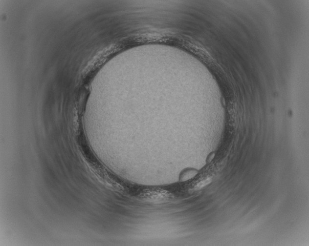 X0000079290642200612151703