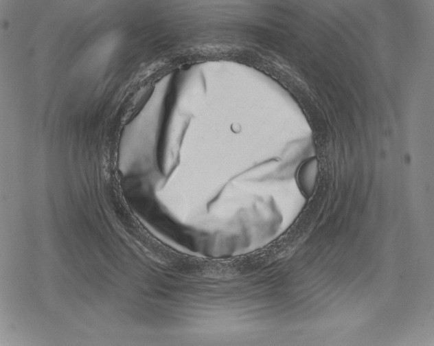 X0000079290644200612151703