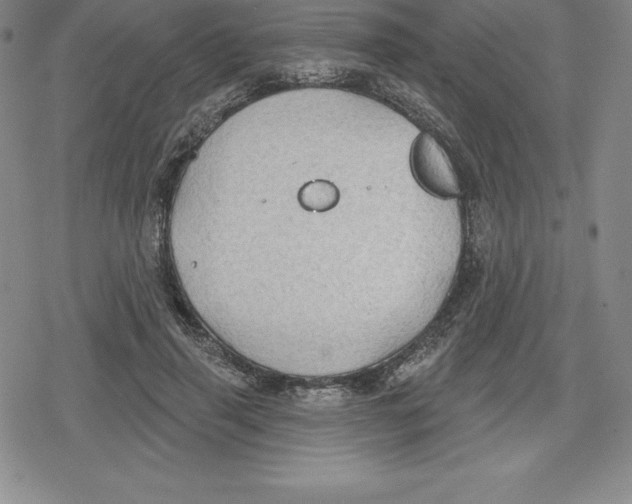 X0000079290645200612151703