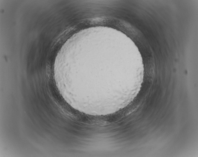 X0000079290648200612151703