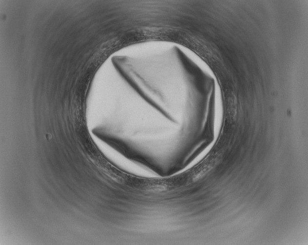 X0000079290653200612151703