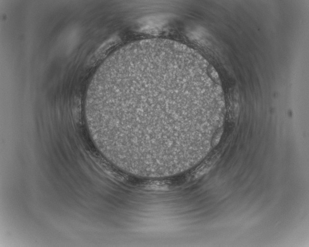 X0000079290656200612151703